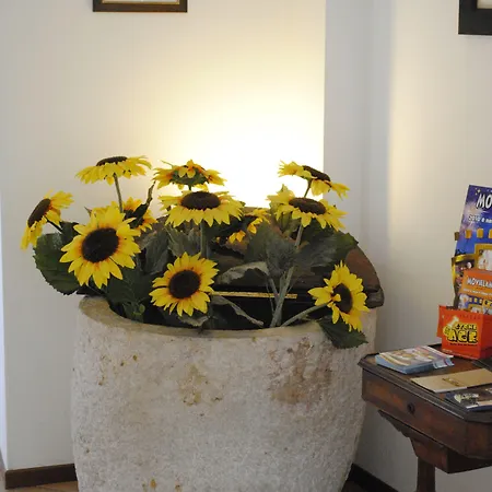 Otel Tiziana Garni